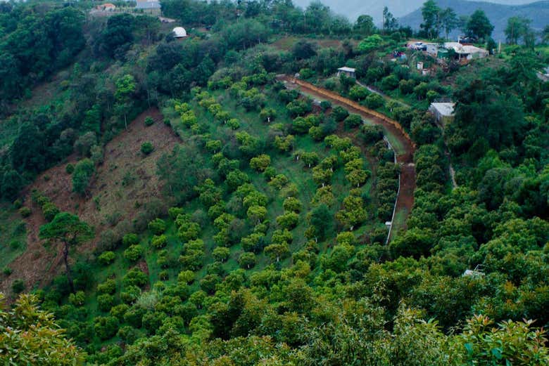 See agricultural areas