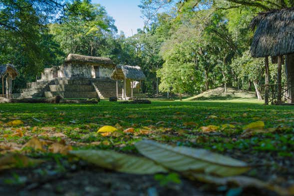 Excursión a El Ceibal