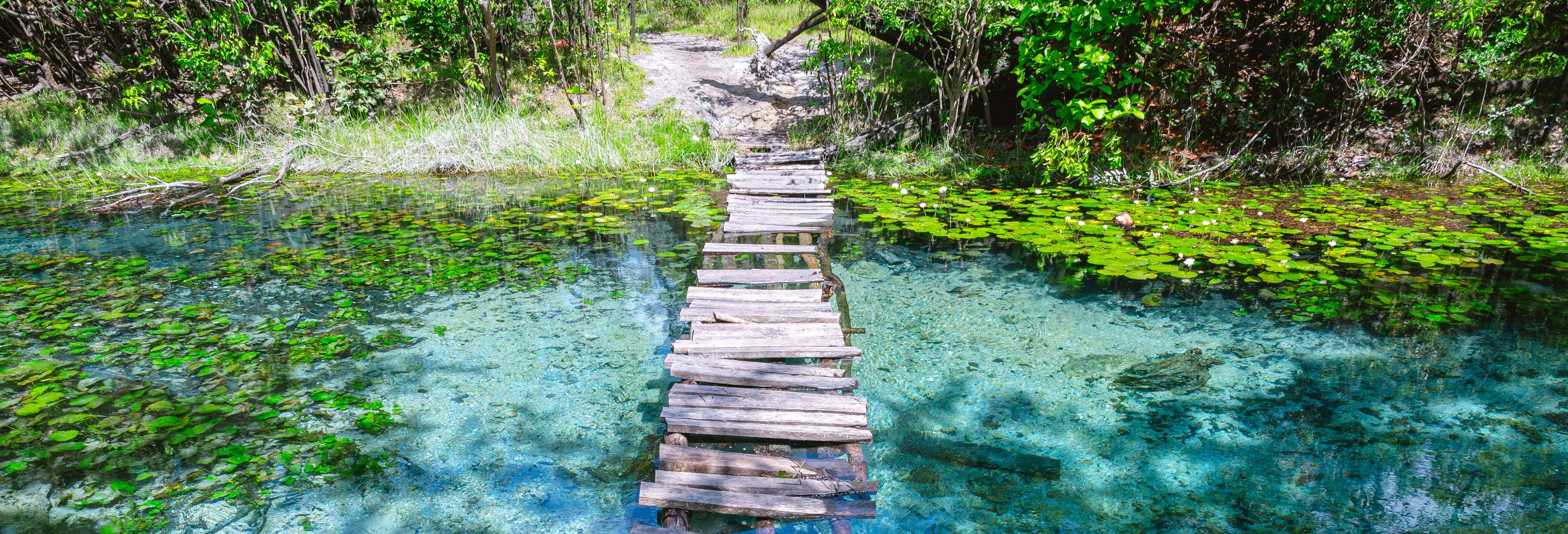 Excursiones de un día en Flores