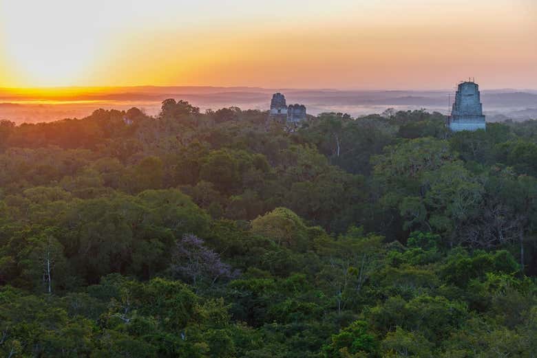 O amanhecer sobre a selva de Tikal