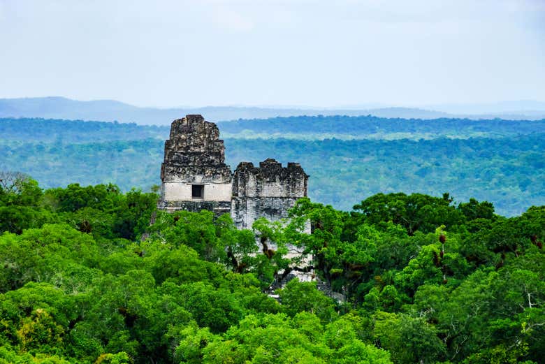 Amanhecer sobre Tikal