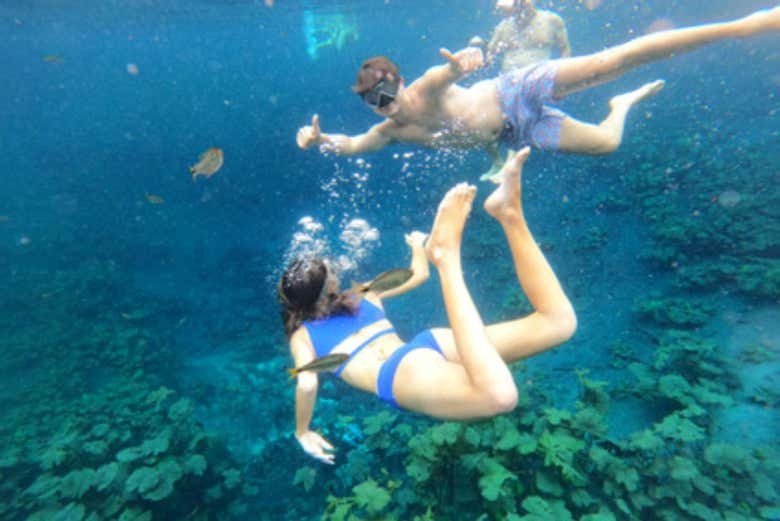 Explorando el jardín de Cráter Azul