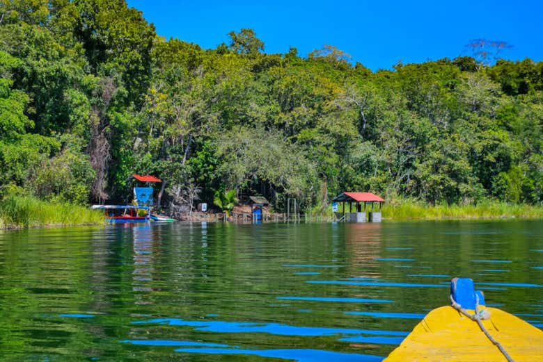 Chegando ao centro de resgate de animais Arcas