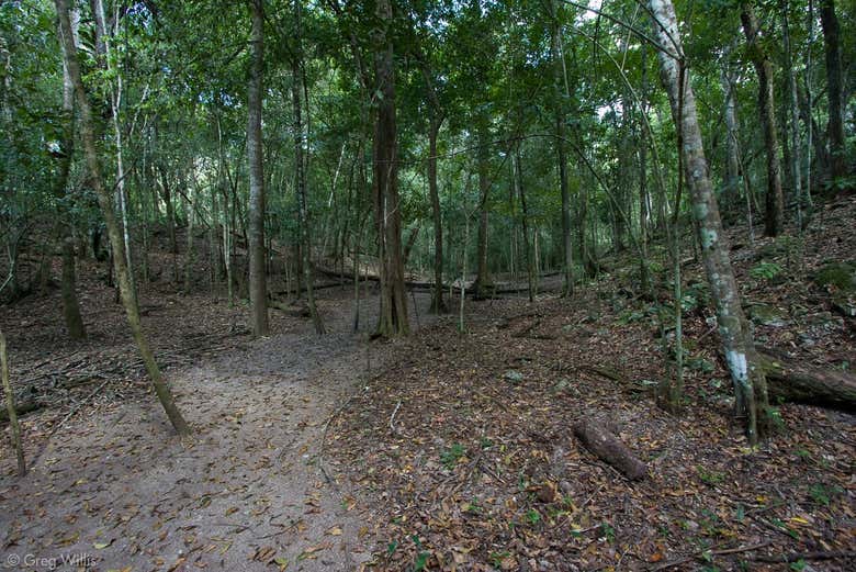 Zona de El Tintal