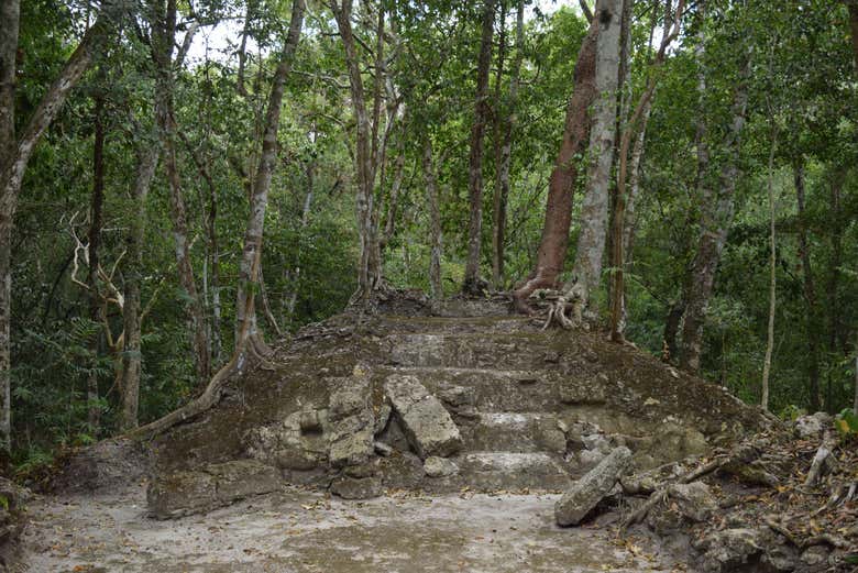 Vestigios mayas en el interior de la jungla