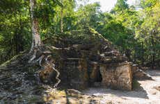 Trilha de 5 dias por El Mirador e El Tintal