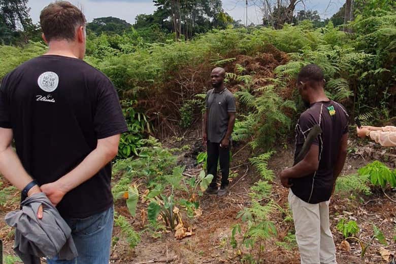 Visit a traditional farm