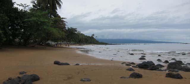 Noche en la selva de Ureka con avistamiento de tortugas