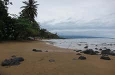 Night in Ureka Jungle + Turtle Watching