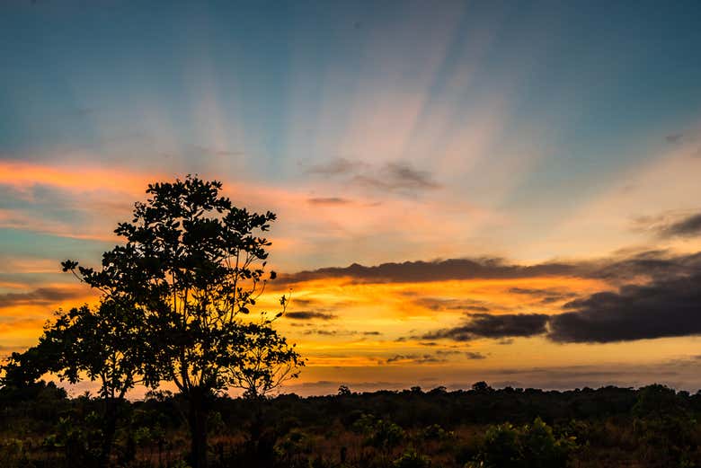 Desfrutando do entardecer
