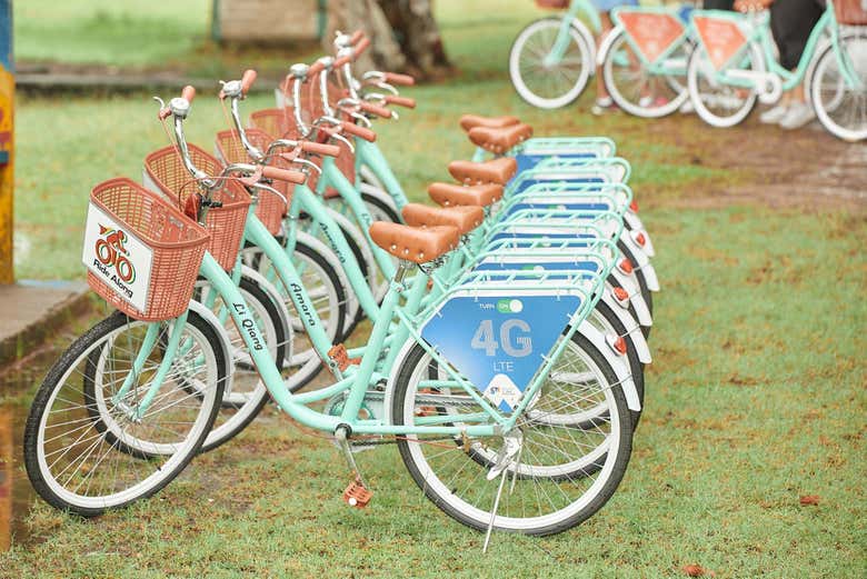 Vélos de l'activité