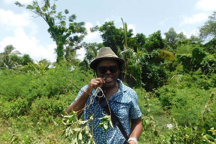 Explorez la campagne de Georgetown