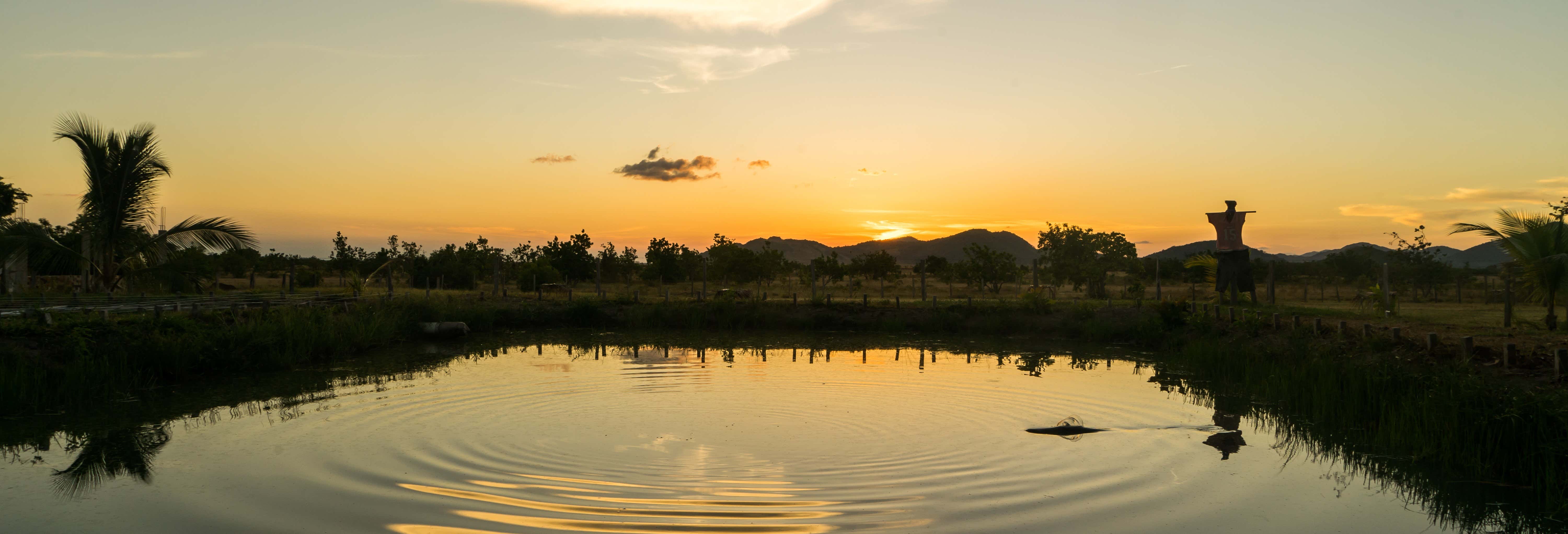 Tour in bicicletta a Georgetown