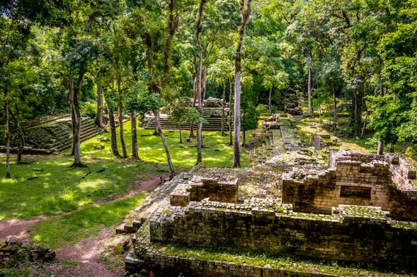 Escursione privata al Parco Archeologico e Parco degli Uccelli
