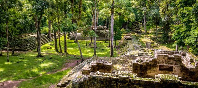 Excursión privada al Parque Arqueológico y Parque de Aves