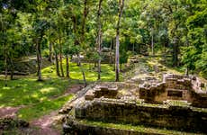 Excursión privada al Parque Arqueológico y Parque de Aves