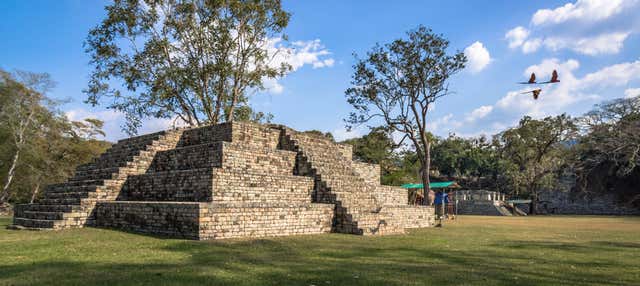 Tour privado por Copán Ruinas