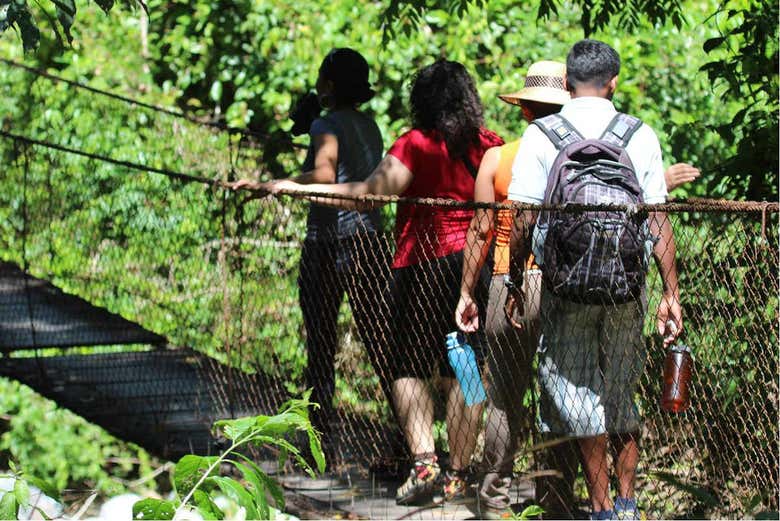 Caminata por el sendero Guaruma