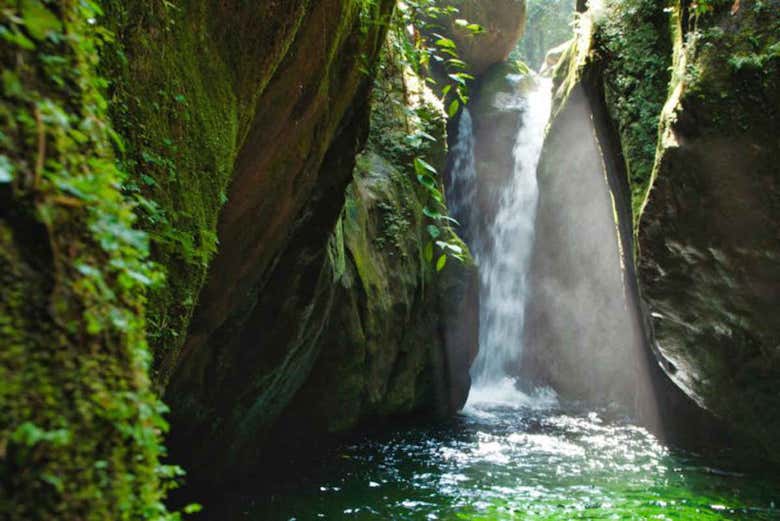 Joyas de la naturaleza en el sendero Zacate
