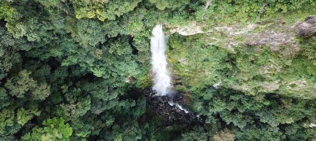 Ruta privada de senderismo por La Ceiba