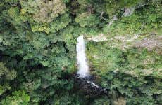 Ruta privada de senderismo por La Ceiba