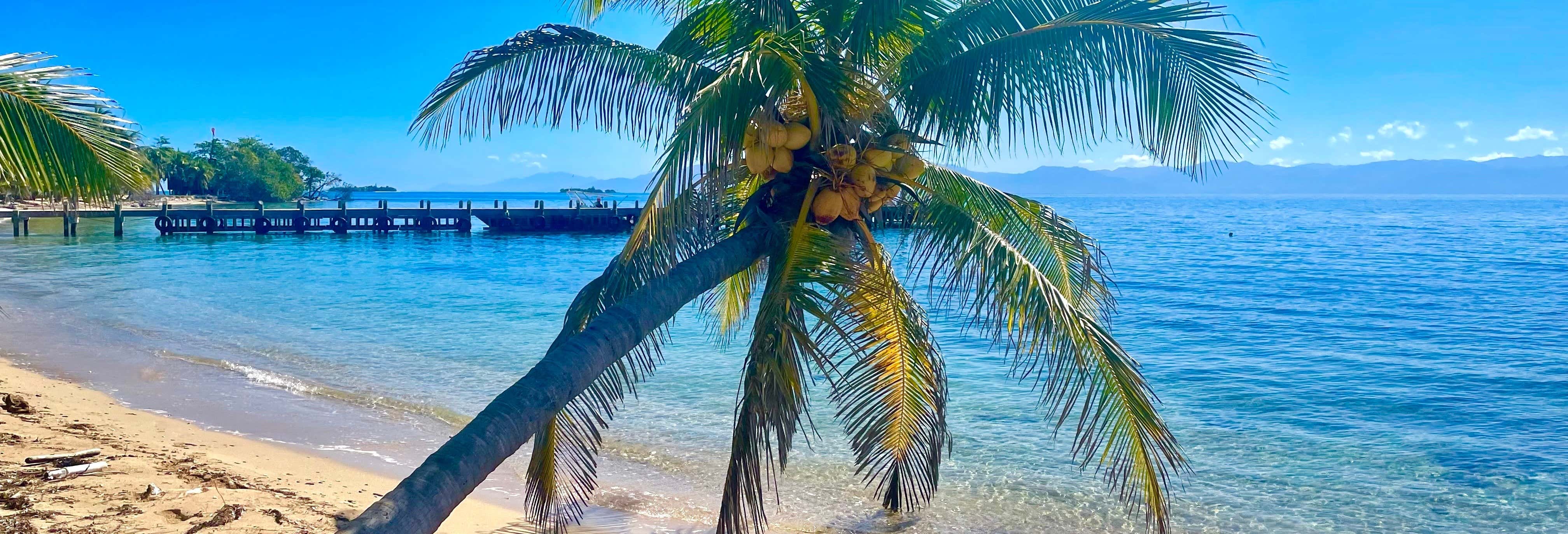 Excursiones de un día en Roatán