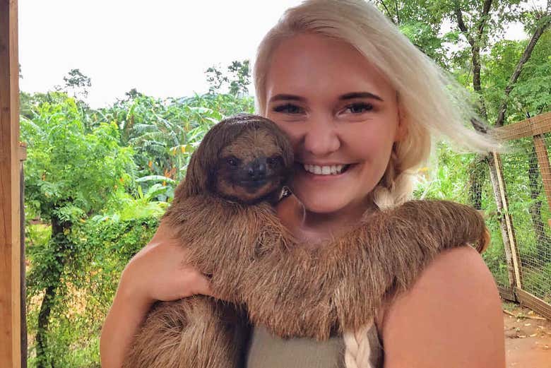 Faites un calin aux paresseux !