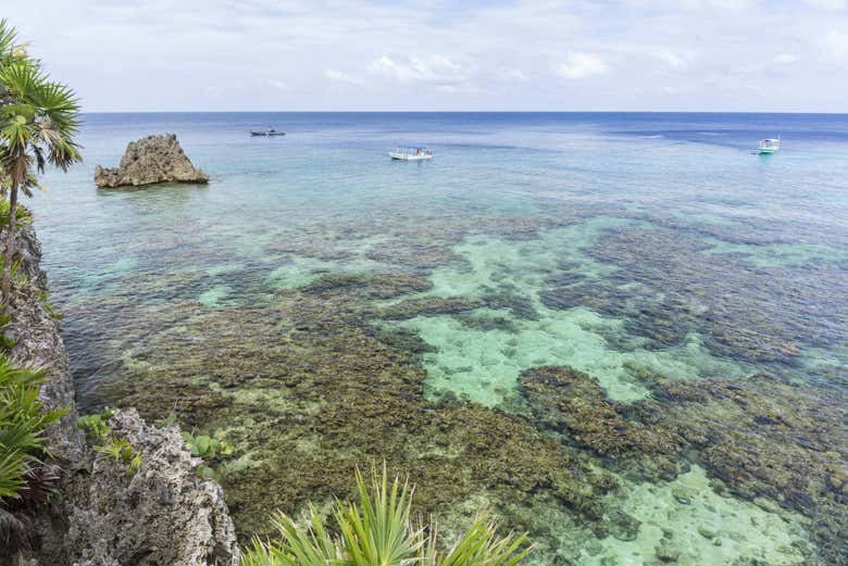Barriera corallina di Roatán