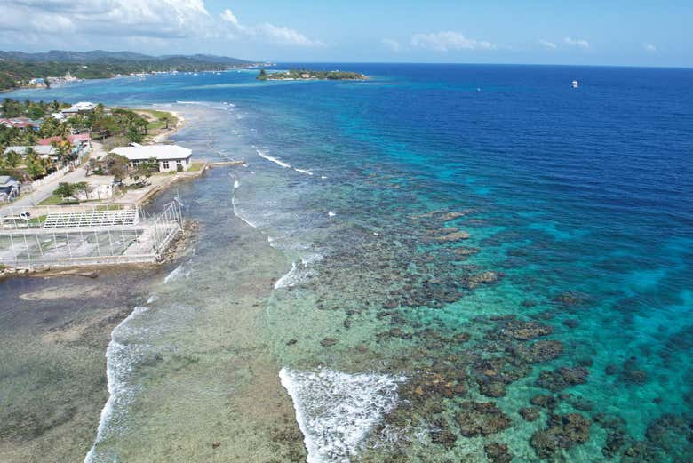 Côte de French Cay