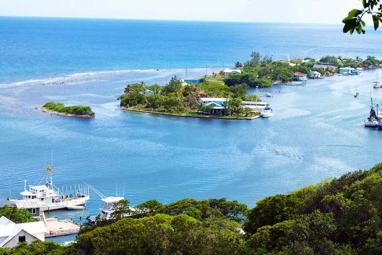Oakridge, a Veneza de Roatán