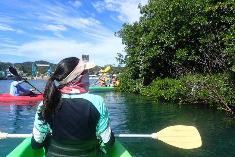 Uma experiência inesquecível em Roatán