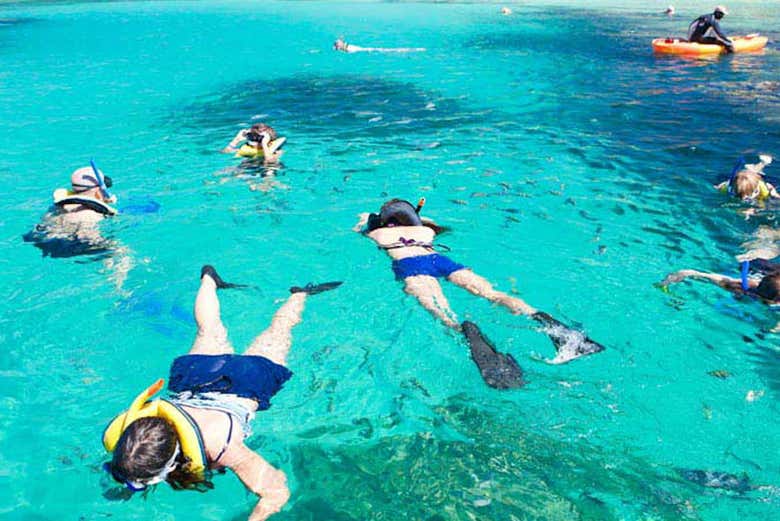 Praticando snorkeling