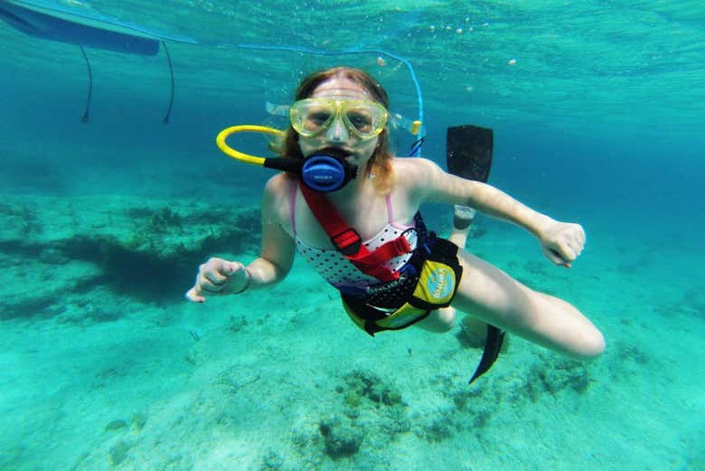 Snuba Roatan Gumbalimba Park Excursion, Roatán