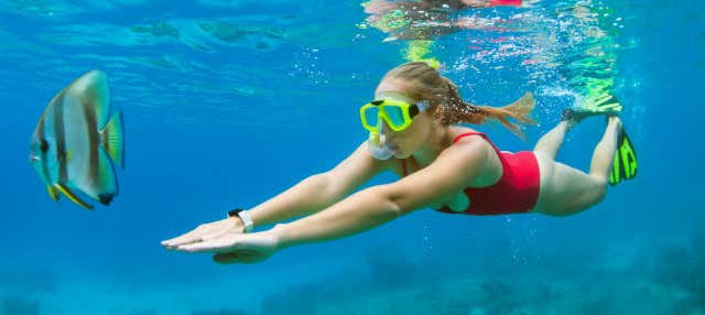 Balade à bord d'une maison flottante et snorkeling à Roatán