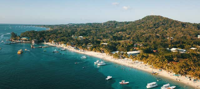 Paseo en catamarán de lujo por Roatán