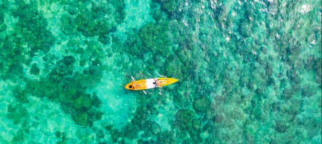 Tour en kayak por French Cay + Snorkel