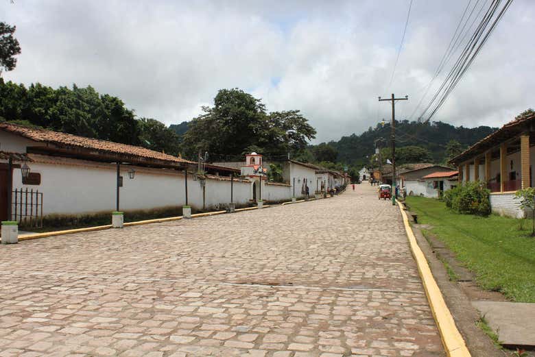 Ojojona