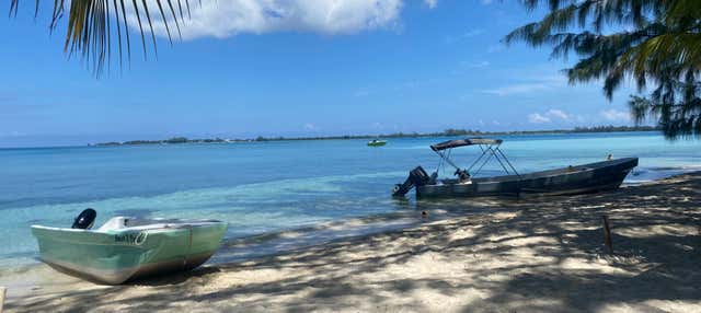 Excursion à Water Cay en bateau