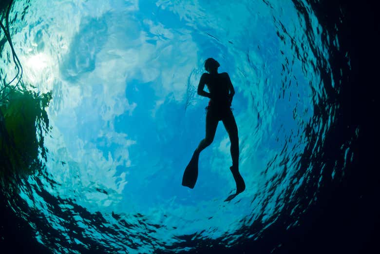 ¡Una experiencia inolvidable!
