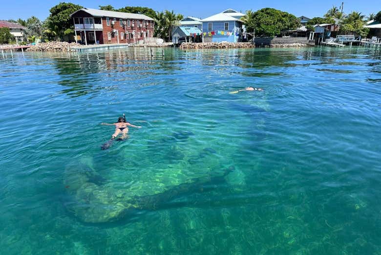 ¿Con qué nos encontraremos en el mar?