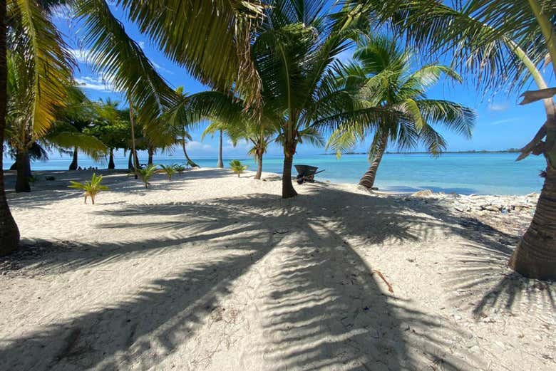 ¡Paisaje de ensueño en Water Cay!