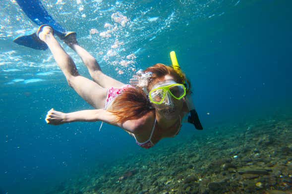 Snorkeling à Útila