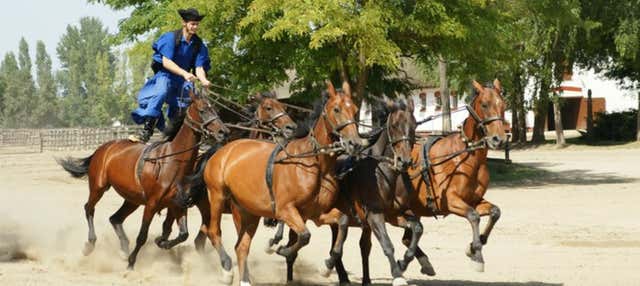 Puszta Day Trip with Equestrian Show