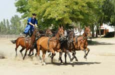 Excursión a la Puszta y espectáculo ecuestre