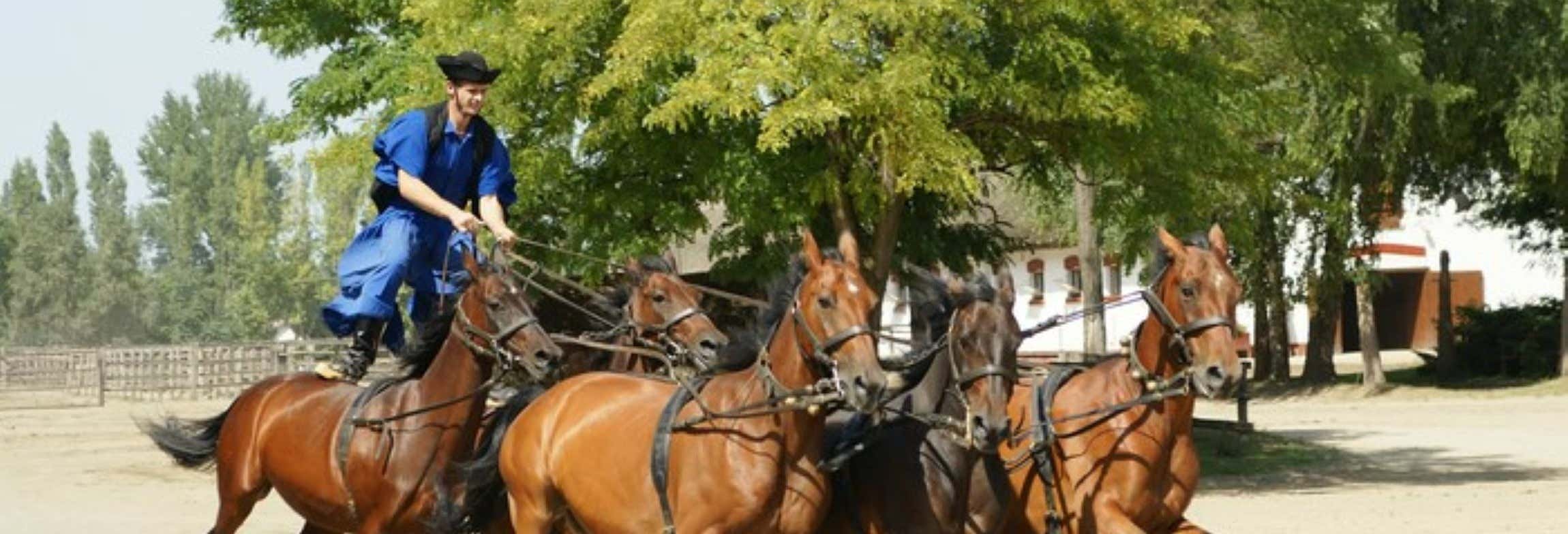 Day trips in Budapest