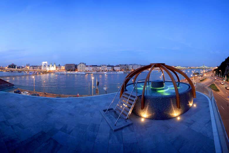 Espectaculares vistas al Danubio