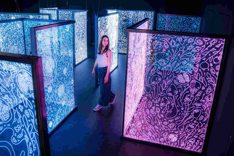 Step into a new world