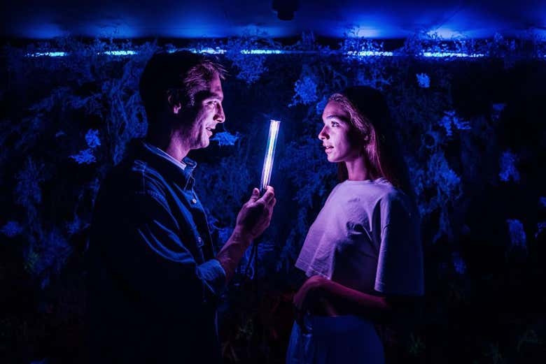 A magical and immersive experience awaits