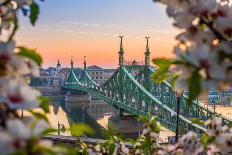 Puente de la Libertad