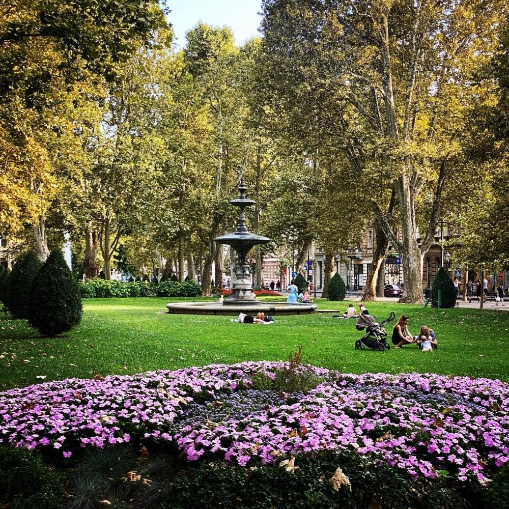 Foto 2 de 2